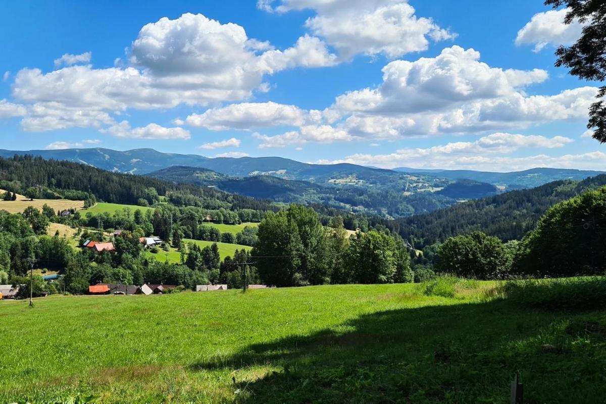 Penzion Harry Na Sjezdovce Krkonose Vysoké nad Jizerou المظهر الخارجي الصورة