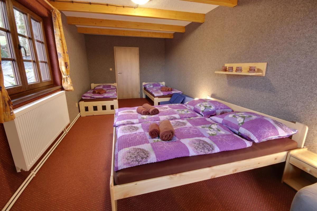 Penzion Harry Na Sjezdovce Krkonose Vysoké nad Jizerou المظهر الخارجي الصورة